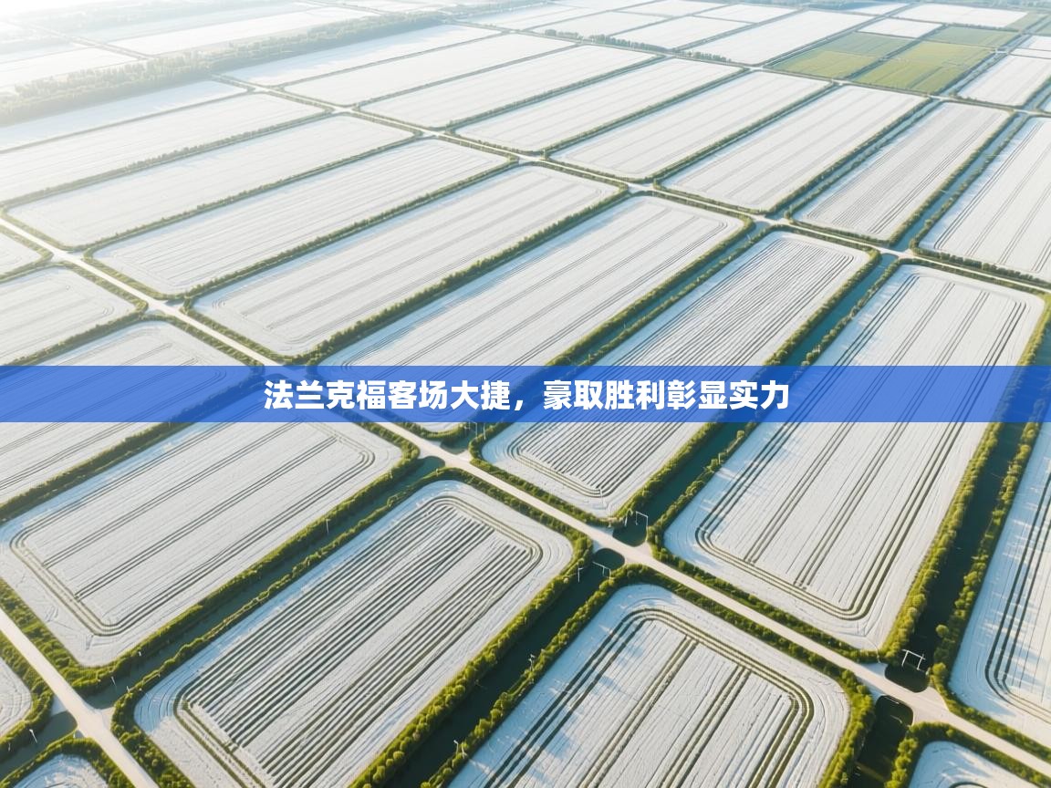 法兰克福客场大捷,豪取胜利彰显实力 第2张